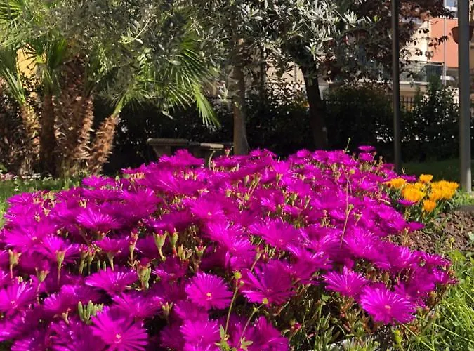 Πανσιόν Casa Elisa Dimora Urbana