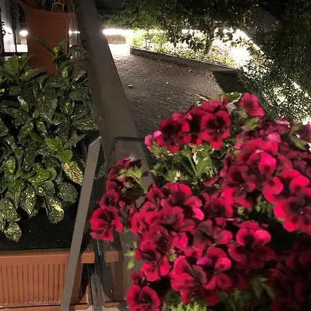 Casa Elisa Dimora Urbana Pensión 4*