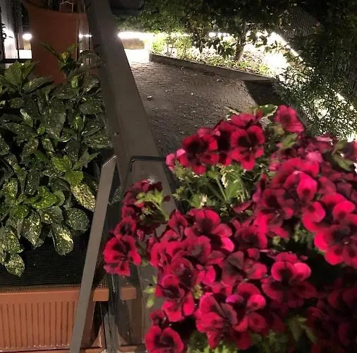 Casa Elisa Dimora Urbana Pensjonat 4*