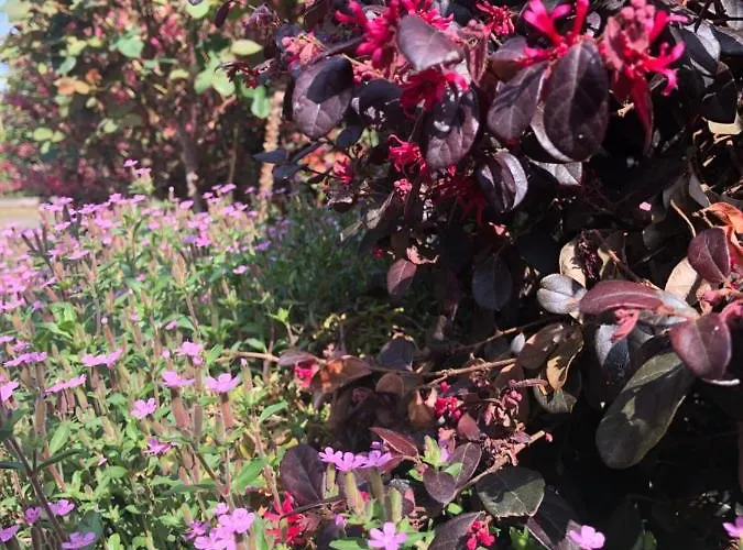 Casa Elisa Dimora Urbana 4* 摩德纳