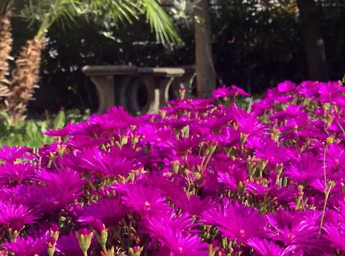 Konukevi Casa Elisa Dimora Urbana Modena